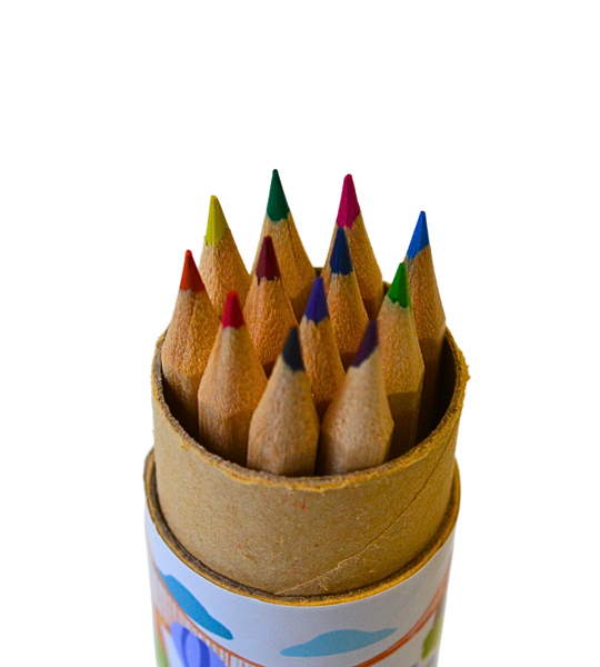 A view of the tips of twelve colouring pencils. The colours include yellow, two shades of green, pink, two shades of brown, red, purple, black, orange and two shades of blue.